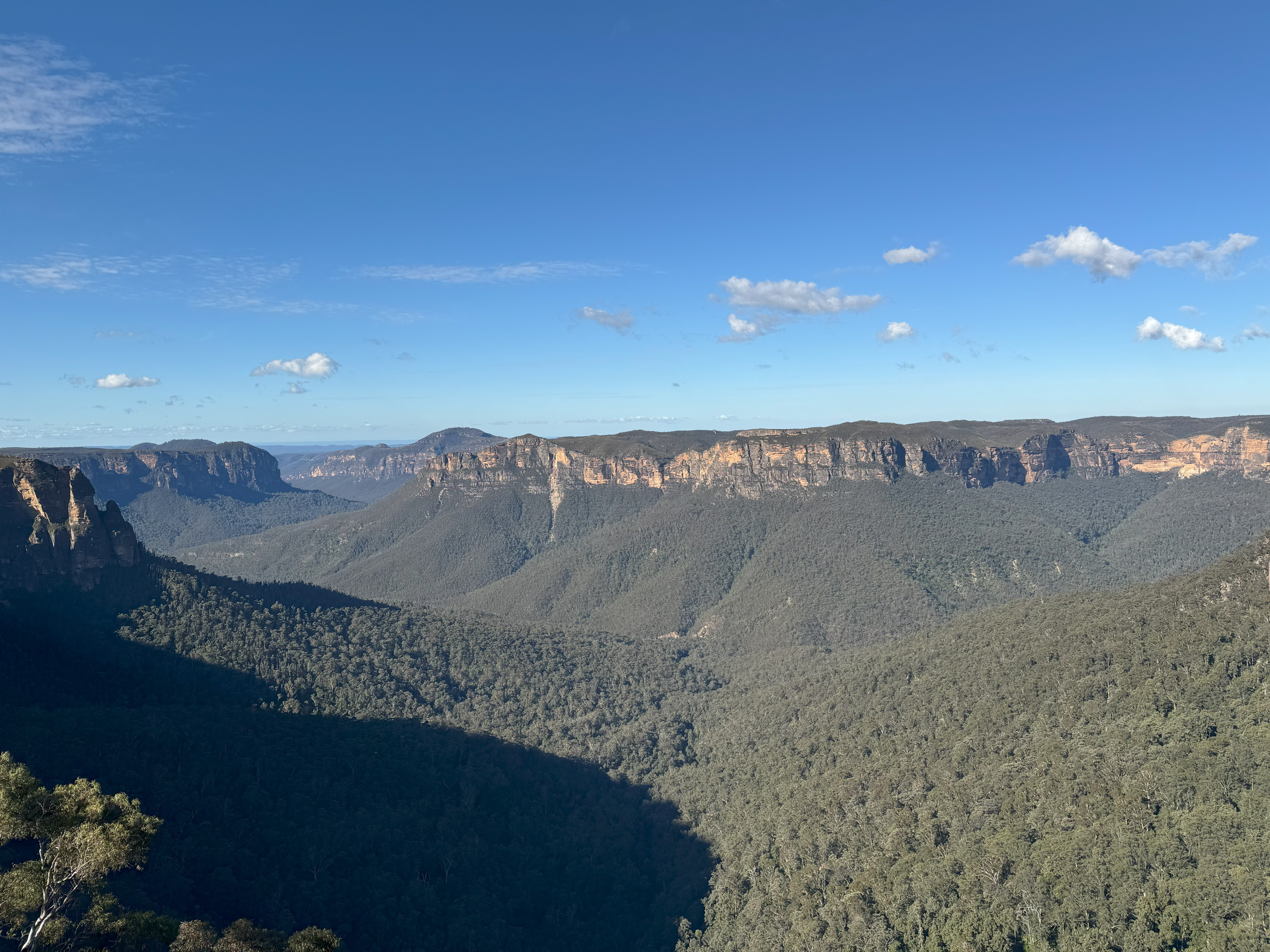 Excursion at Blue Mountain (Hosted by IFSA).